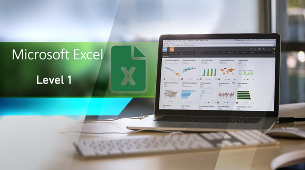 Excel Level 1